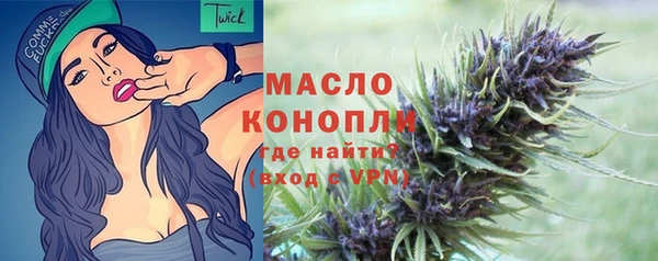 молекула духа Балахна