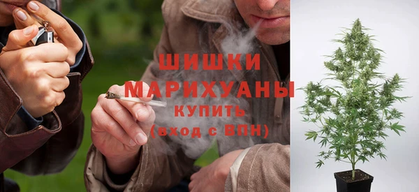 молекула духа Балахна